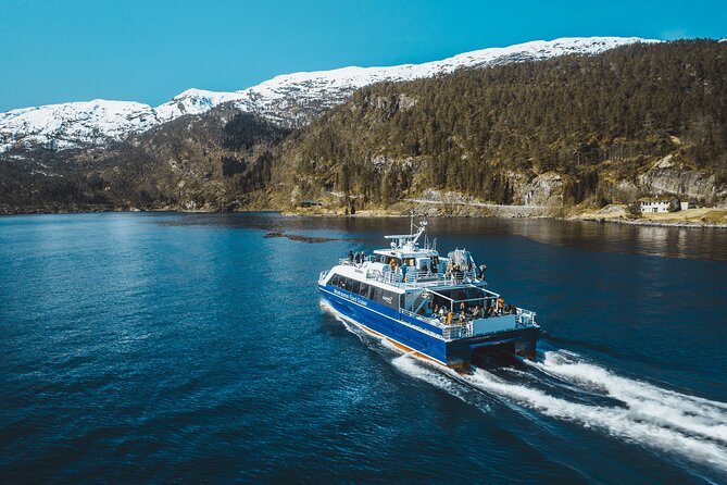 Mostraumen Fjord Cruise - Mostraumen, where the fjord tightens