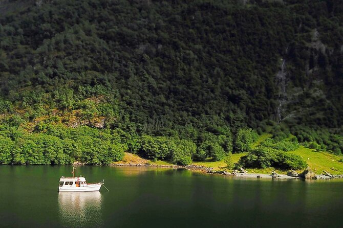 Mostraumen Private Pontoon Cruise - Key points to know before booking