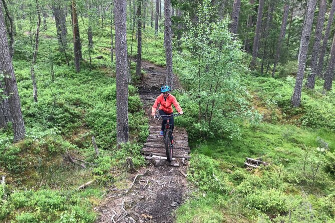 Mountain Bike - Voss Storålsen - Starting in Vossevangen, not central Bergen