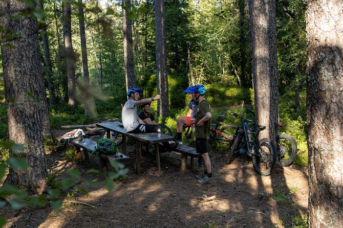 Mountain Bike - Voss Storålsen - Is $151.92 a fair price?