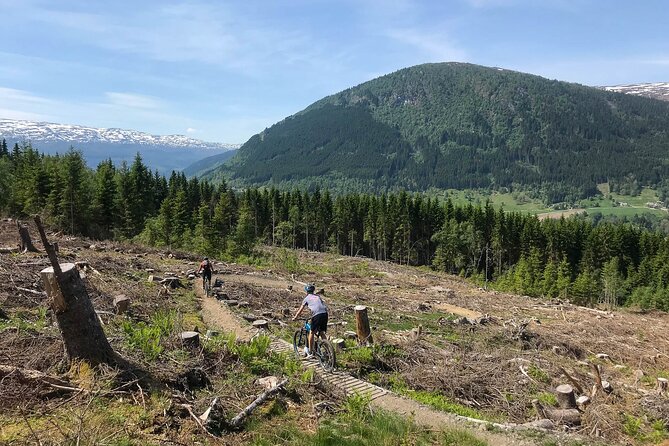 Mountain Bike - Voss Storålsen - Storålsen and Bømoen: what the trail feels like
