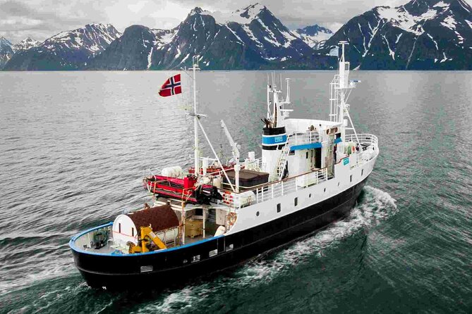Northern Light cruise on the vintage vessel MS Strønstad - A short cruise, not a full fjord expedition