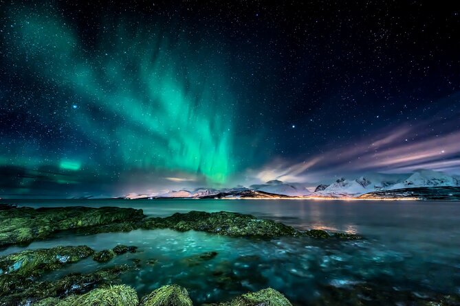 Northern light hunt in Tromsø. WiFi included - What Makes This Tromsø Tour Worth Considering