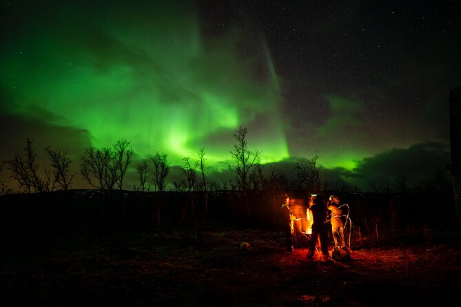 Northern light hunt in Tromsø. WiFi included - Leaving Tromsø at 7 p.m.