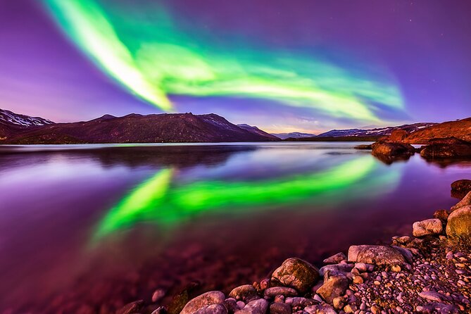 Northern light hunt in Tromsø. WiFi included - Bonfire, Soup, and Warmth Outside