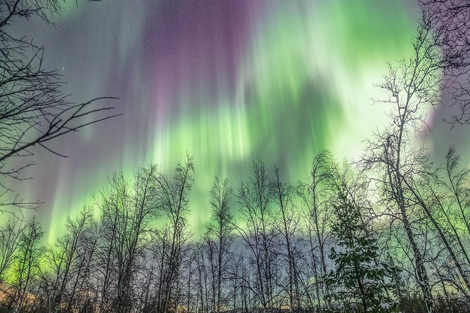 Northern Lights Adventure with Greenlander, 8 people max - Chasing clear skies beyond Tromsø
