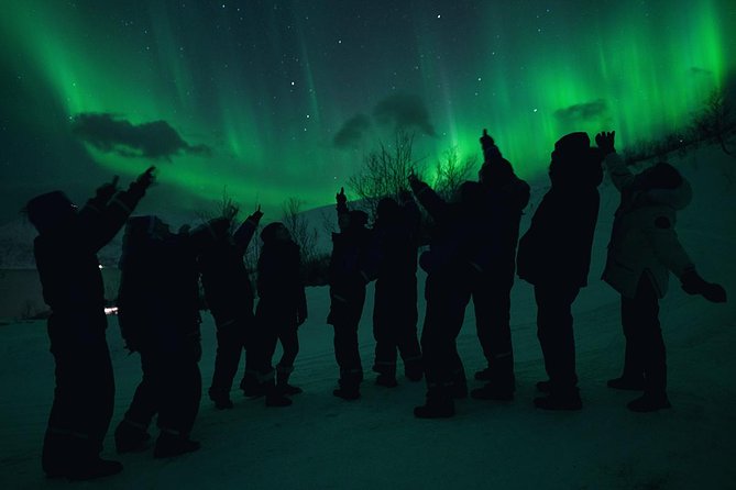Northern Lights Big Bus Chase with Chasing Lights - Meeting at Samuel Arnesens gate 5
