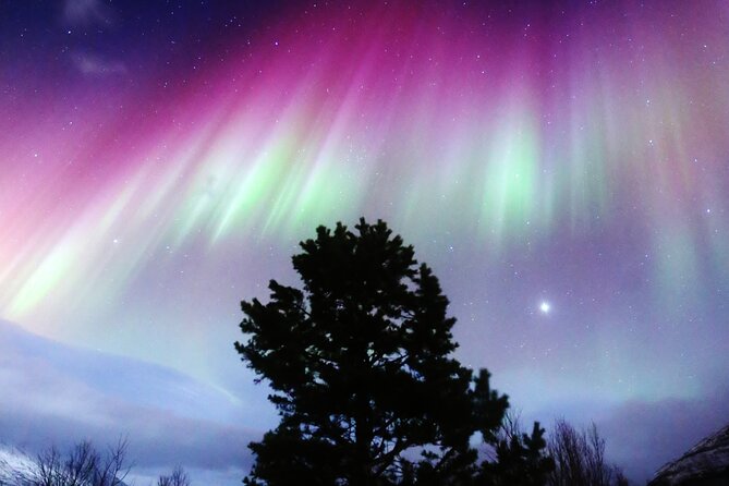 Northern Lights Big Bus Chase with Free Photos - Key points to know before booking