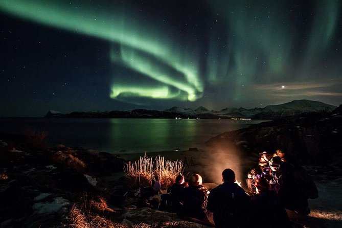 Northern Lights Big Bus Chase with Free Photos - Meeting in central Tromsø