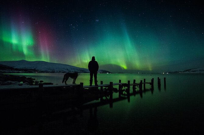 Northern Lights Big Bus Chase with Free Photos - Driving toward Finland when Norway is cloudy
