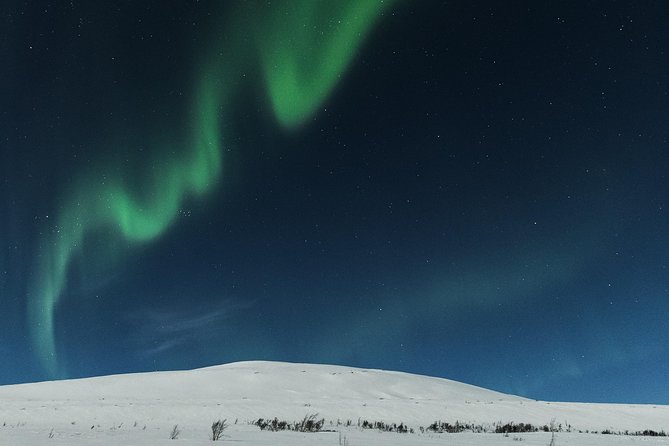 Northern lights cable car excursion - How the mixed feedback affects your decision