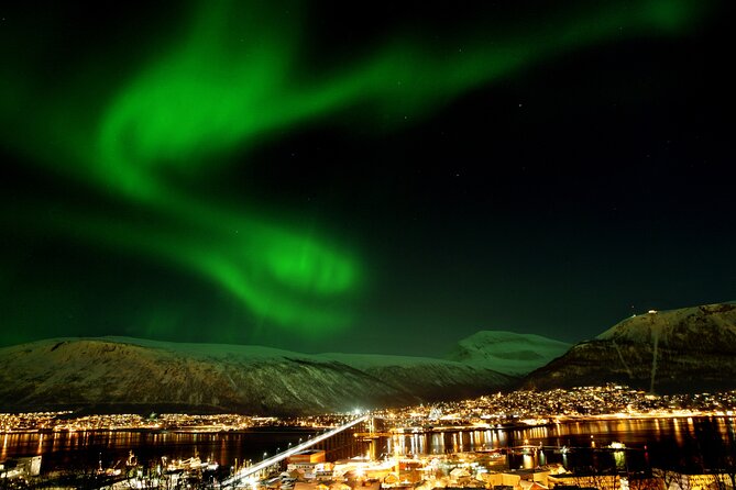 Northern Lights Chase by Bus in Tromso - Key points to know before booking