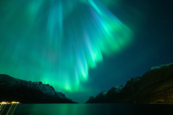 Northern Lights Chase by Bus in Tromso - What eight hours on the bus really means