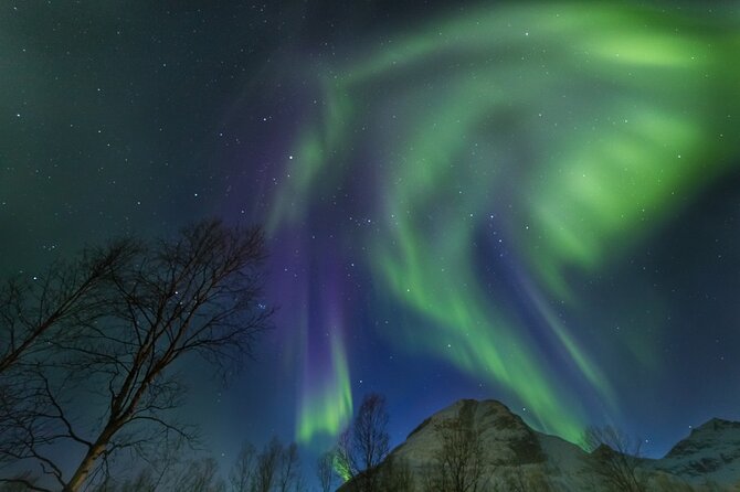 Northern Lights Chase by Bus in Tromso - Is $128.88 a fair price?