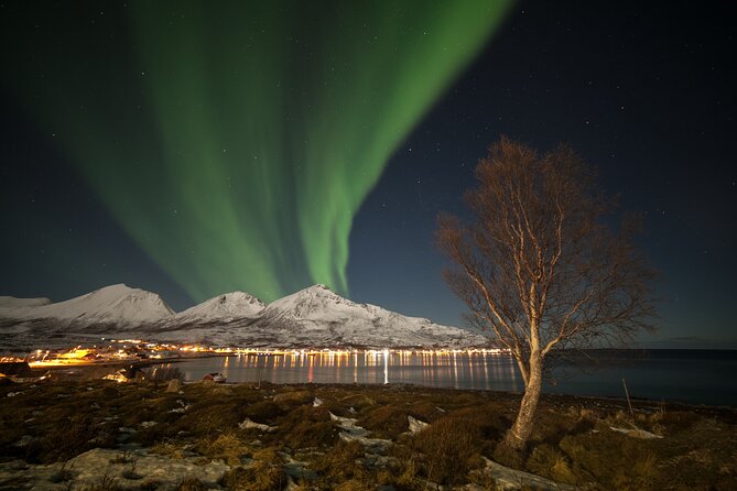Northern Lights Chase by Bus in Tromso - Who should choose this bus tour?