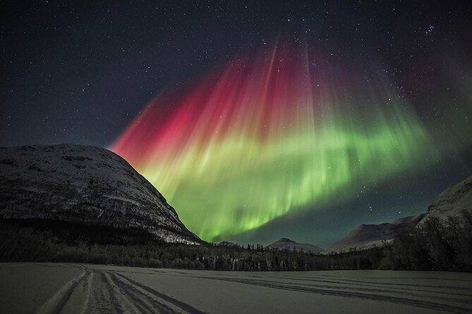 Northern Lights Chase with Photography from Tromsø - Meeting in central Tromsø at Roald Amundsens plass