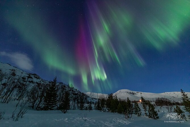 Northern Lights Guided Bus Tour with Free Photos - Key points before you book