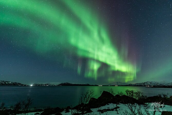 Northern Lights Guided Bus Tour with Free Photos - Leaving Tromsø at 6:00 pm