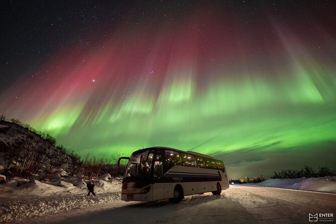 Northern Lights Guided Bus Tour with Free Photos - What the seven-hour chase really means