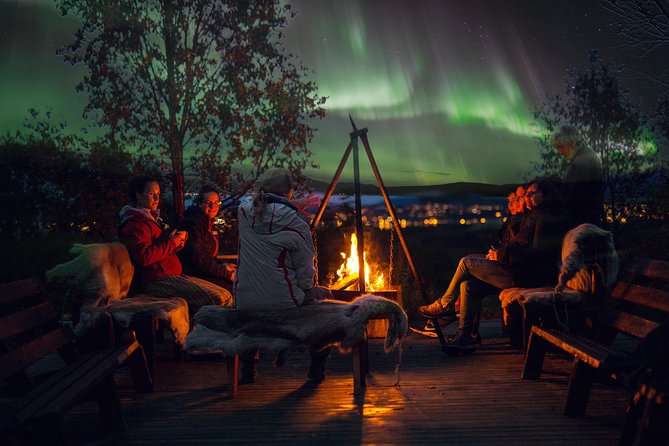 Northern Lights Husky Visit - What This Tromsø Evening Is Really About