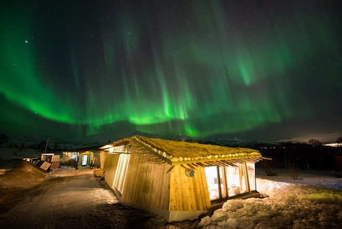 Northern Lights Husky Visit - The 25-Minute Ride From Central Tromsø