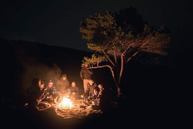 Northern Lights Minibus Chase from Tromsø with Chasing Lights - Stops, fires, and the waiting game