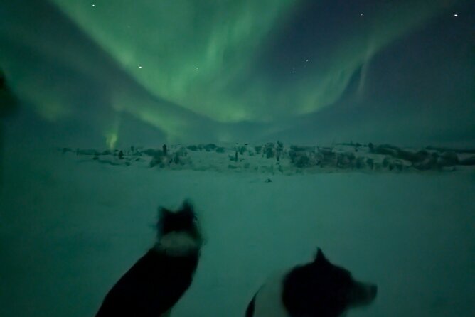 Northern Lights Minibus Chase Max 16 Person In Group - Why Alta is a good base for an aurora chase