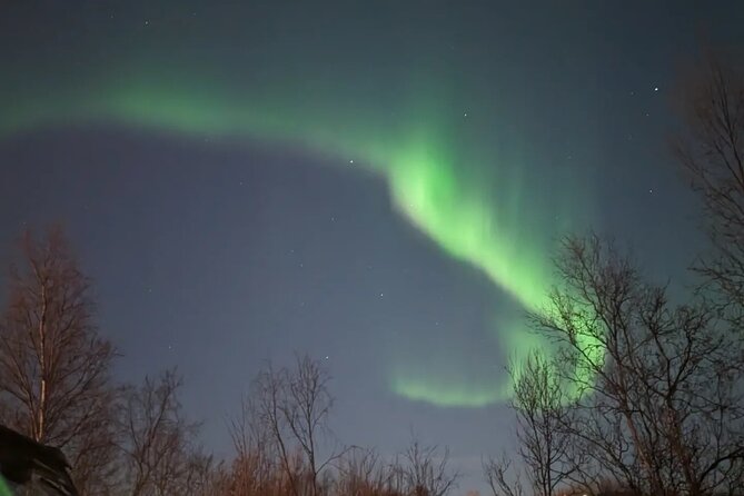 Northern Lights Minibus Chase Max 16 Person In Group - Searching beyond Alta for clearer skies