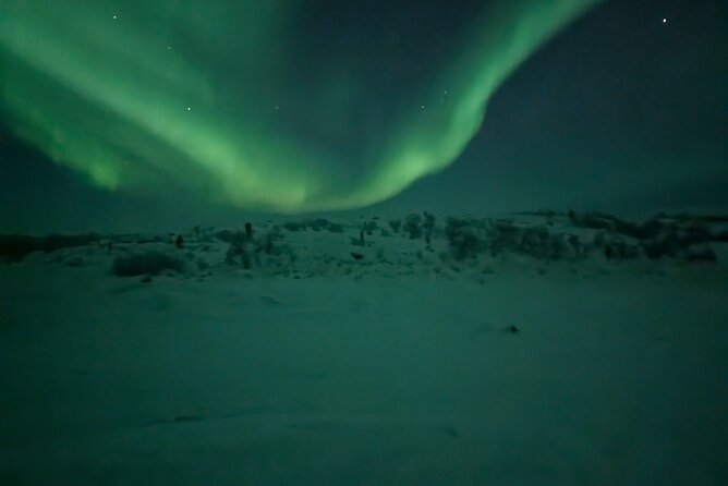 Northern Lights Minibus Chase Max 16 Person In Group - The minibus advantage, and the important exception