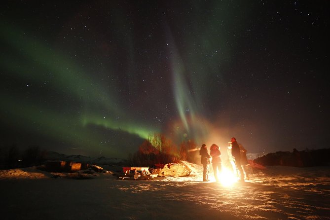 Northern lights photography tour - What the $225.94 price really covers