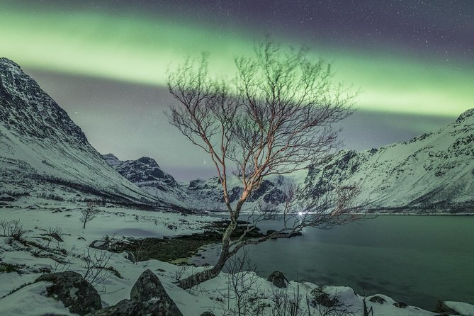 Northern Lights Private tour with your special ones - Greenlander - A private start in Tromsø at 5:50 or 6 p.m.