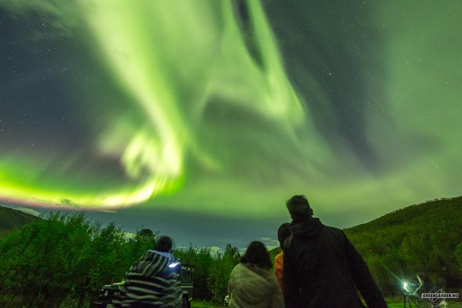 Northern Lights Private tour with your special ones - Greenlander - What happens when the aurora appears