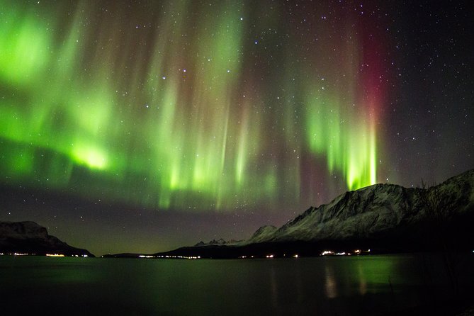 Northern Lights Safari from Tromso - Key points to know before booking