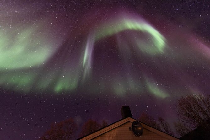Northern Lights Safari from Tromso - Karina’s role in making a difficult night work