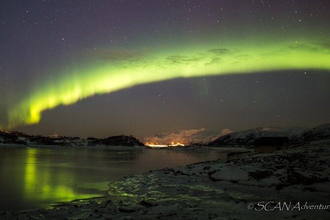Northern Lights Safari from Tromso - What the $152.21 price really covers