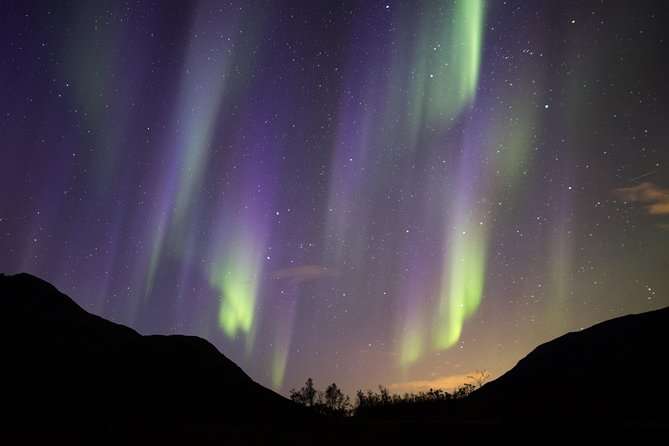 Northern Lights Safari from Tromso - Who will enjoy this chase most