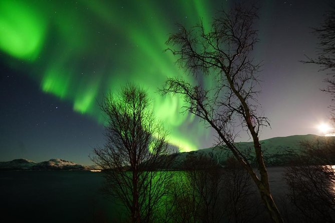 Northern lights - TeslaX Ecofriendly Car - The serious issue: last-minute cancellations