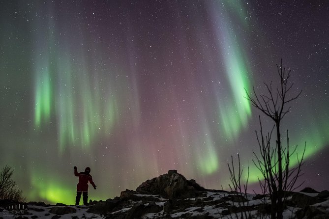 Northern Lights tour - All inclusive - Northern Horizon - Why this Tromsø aurora tour feels different