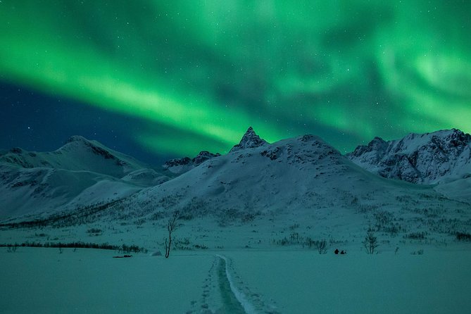 Northern Lights Tour from Tromsø - Why an aurora chase from Tromsø can be worth it