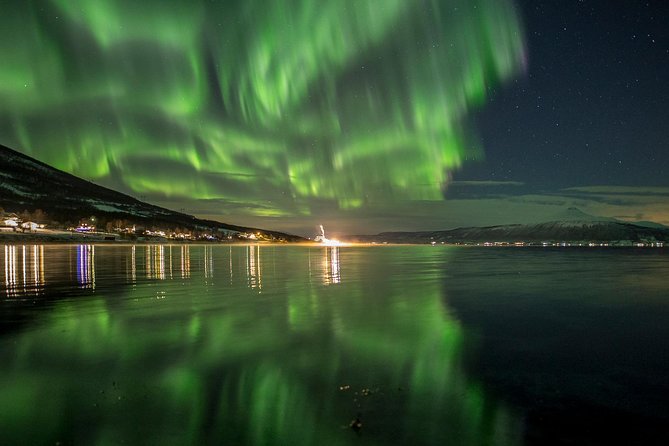 Northern Lights Tour from Tromsø - The campfire meal with reindeer and vegetarian choices