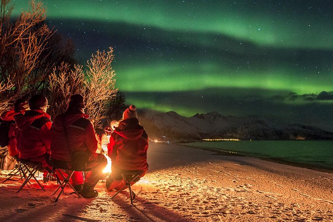Northern Lights Tour from Tromsø - Thermal suits, boots, tripods, and staying warm