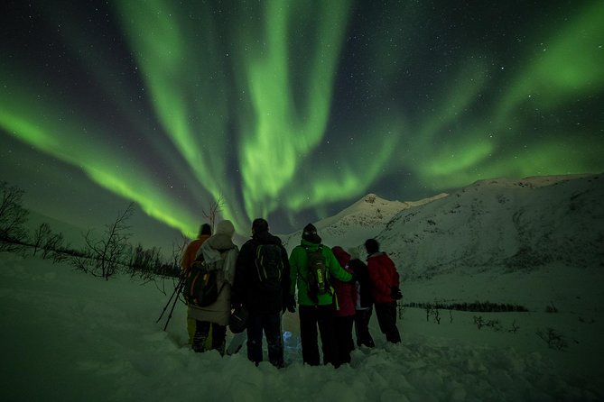 Northern Lights Tour from Tromsø - Aurora photography with a real person behind the camera