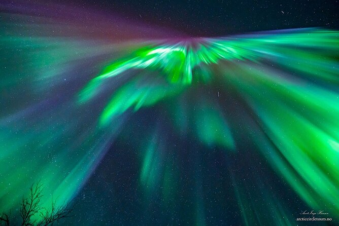 Northern Lights Tour, Photo, Toilet, Meal, Skycam in Mbus - Waiting beside the campfire
