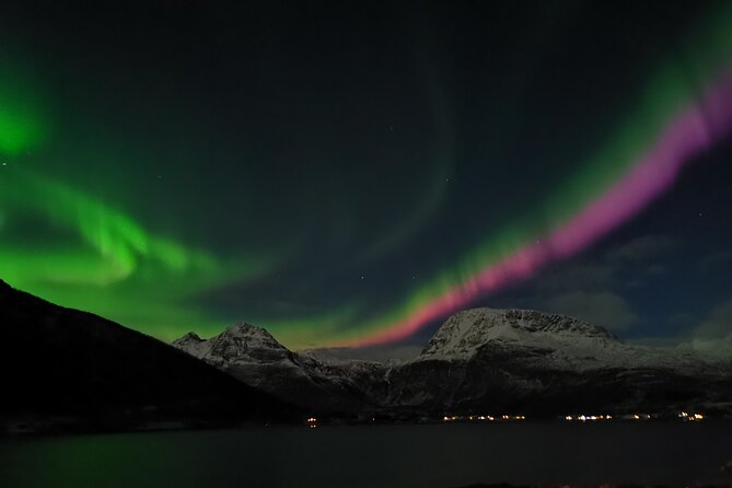 Northern Lights Tour, Tromso, Local Guide, Private Basecamp - Key points to know before you book