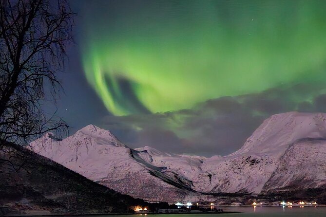 Northern Lights Tour, Tromso, Local Guide, Private Basecamp - A Northern Lights evening with a proper basecamp