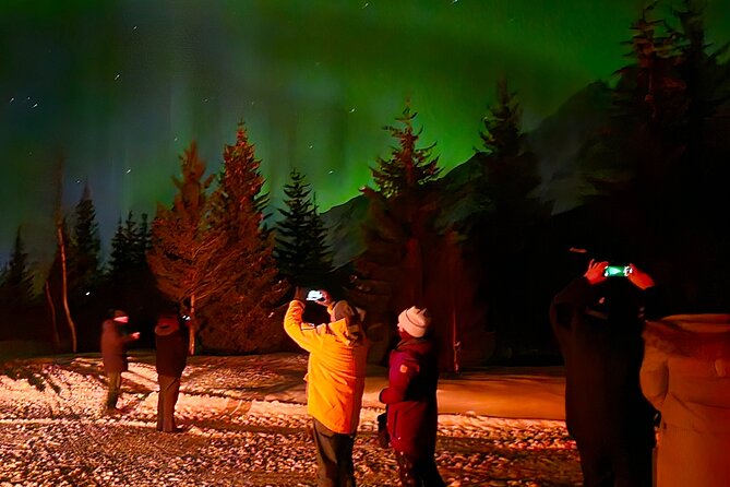 Northern Lights Tour, Tromso, Local Guide, Private Basecamp - Is $204.97 a fair price?