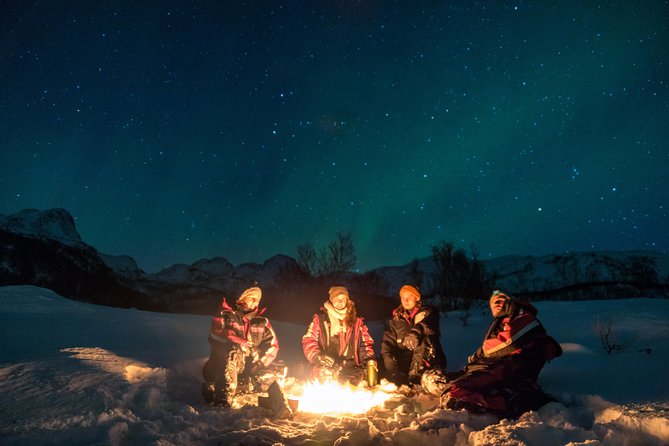 Northern Lights tour with Alta Adventure - Key points to know before booking