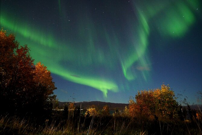 Northern Lights tour with Alta Adventure - Is $235.37 a fair price?