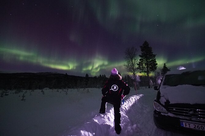 Northern Lights tour with Alta Adventure - The guides make the biggest difference