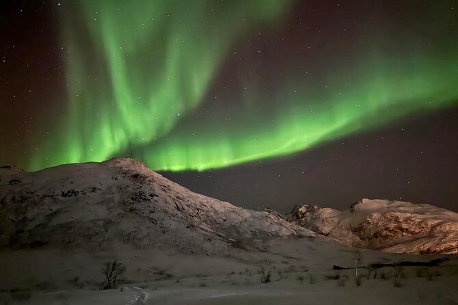 Northern Lights Tour with Hot Food and Drinks in Tromso - Thermal suits help, but pack properly